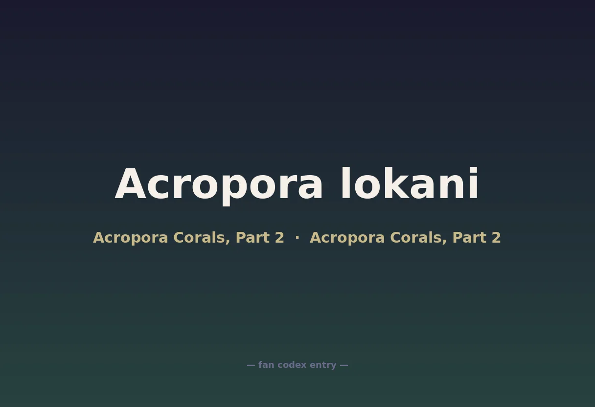 Acropora lokani