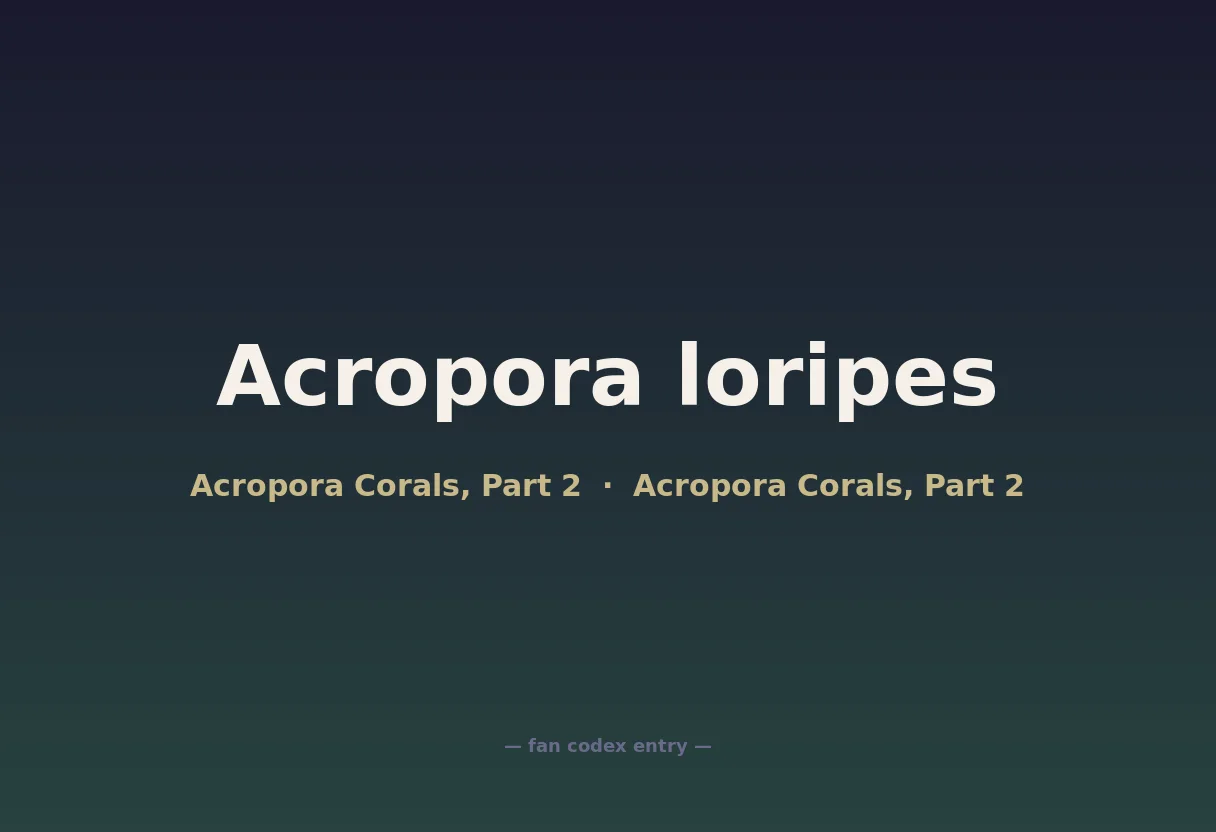 Acropora loripes