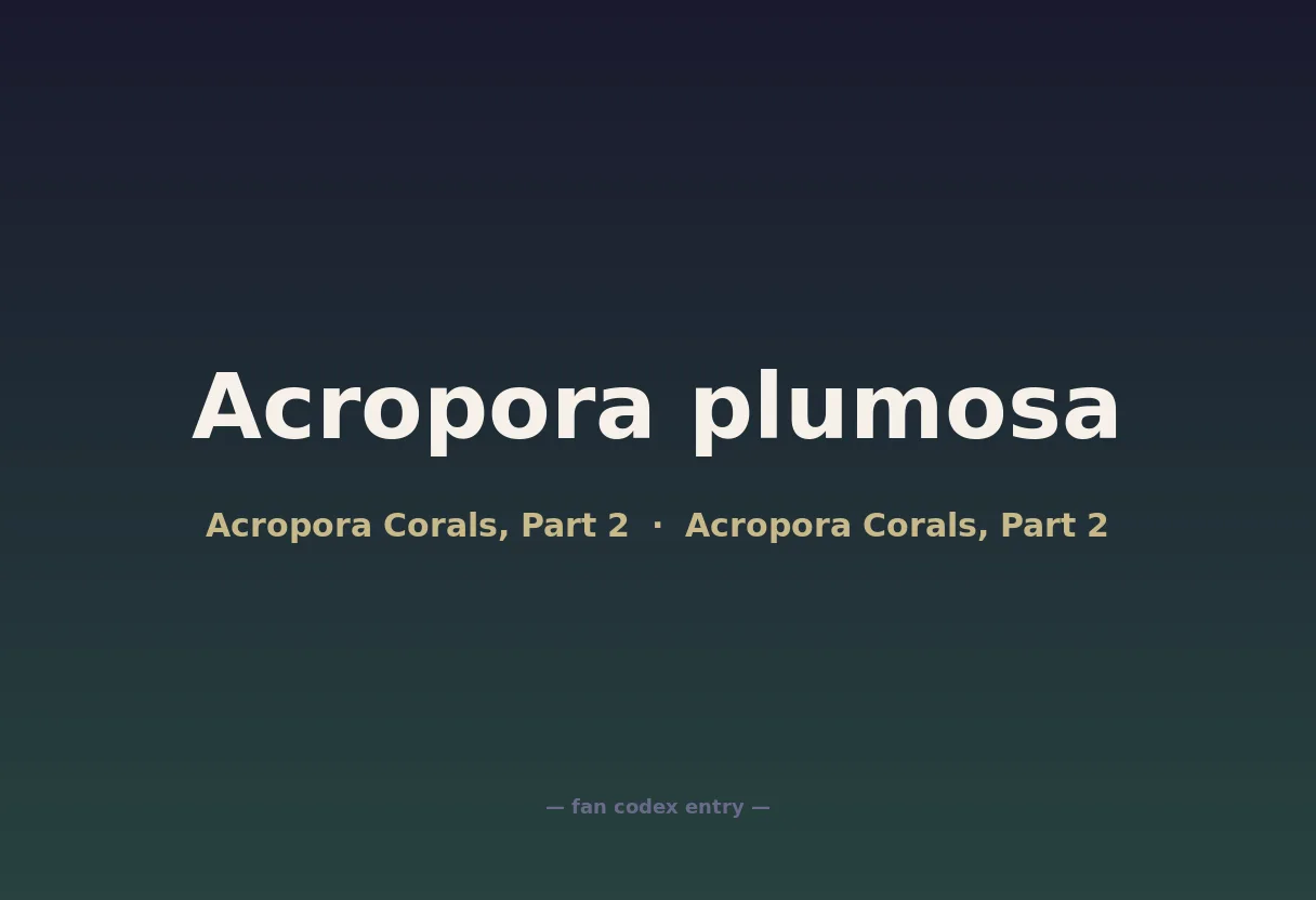 Acropora plumosa