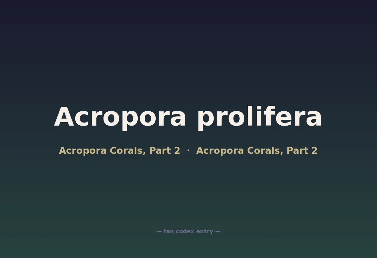 Acropora prolifera