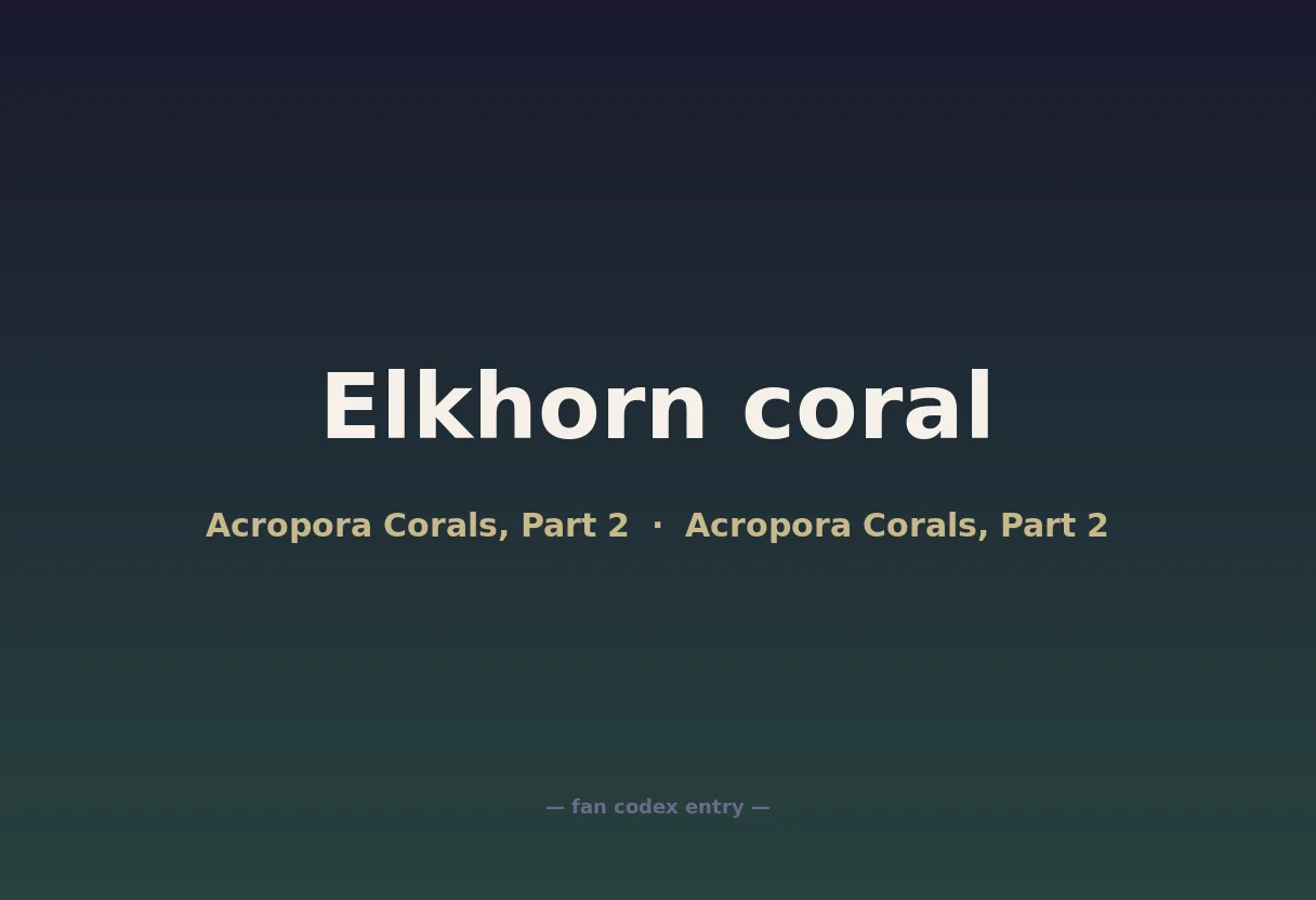 Elkhorn coral