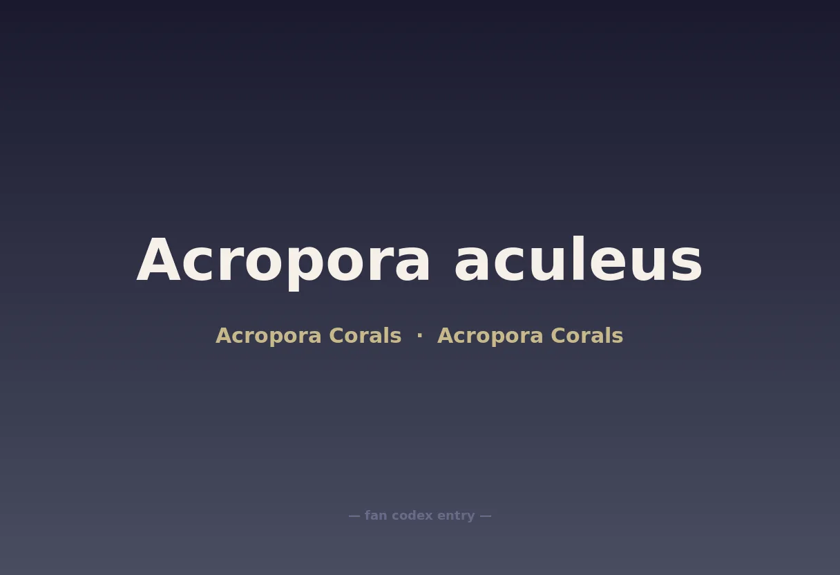 Acropora aculeus
