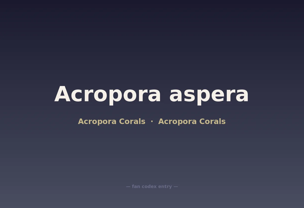 Acropora aspera