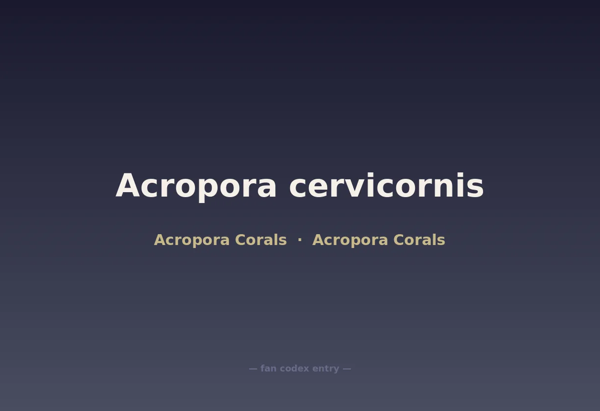 Acropora cervicornis