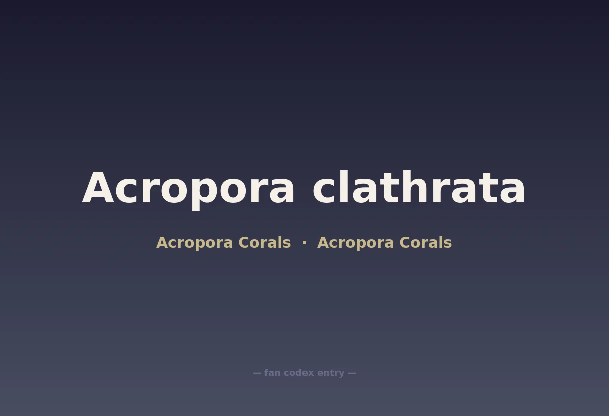 Acropora clathrata