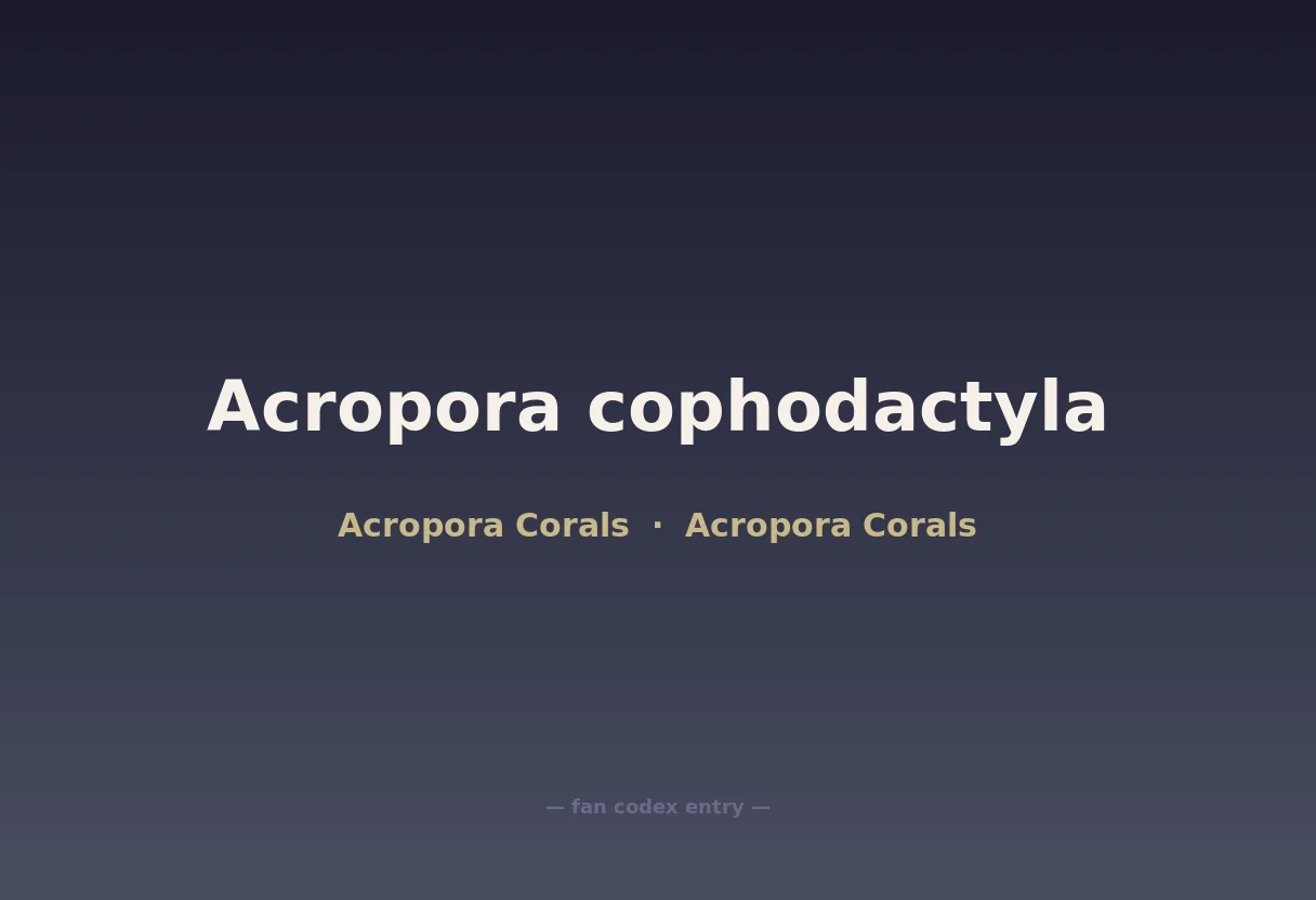 Acropora cophodactyla