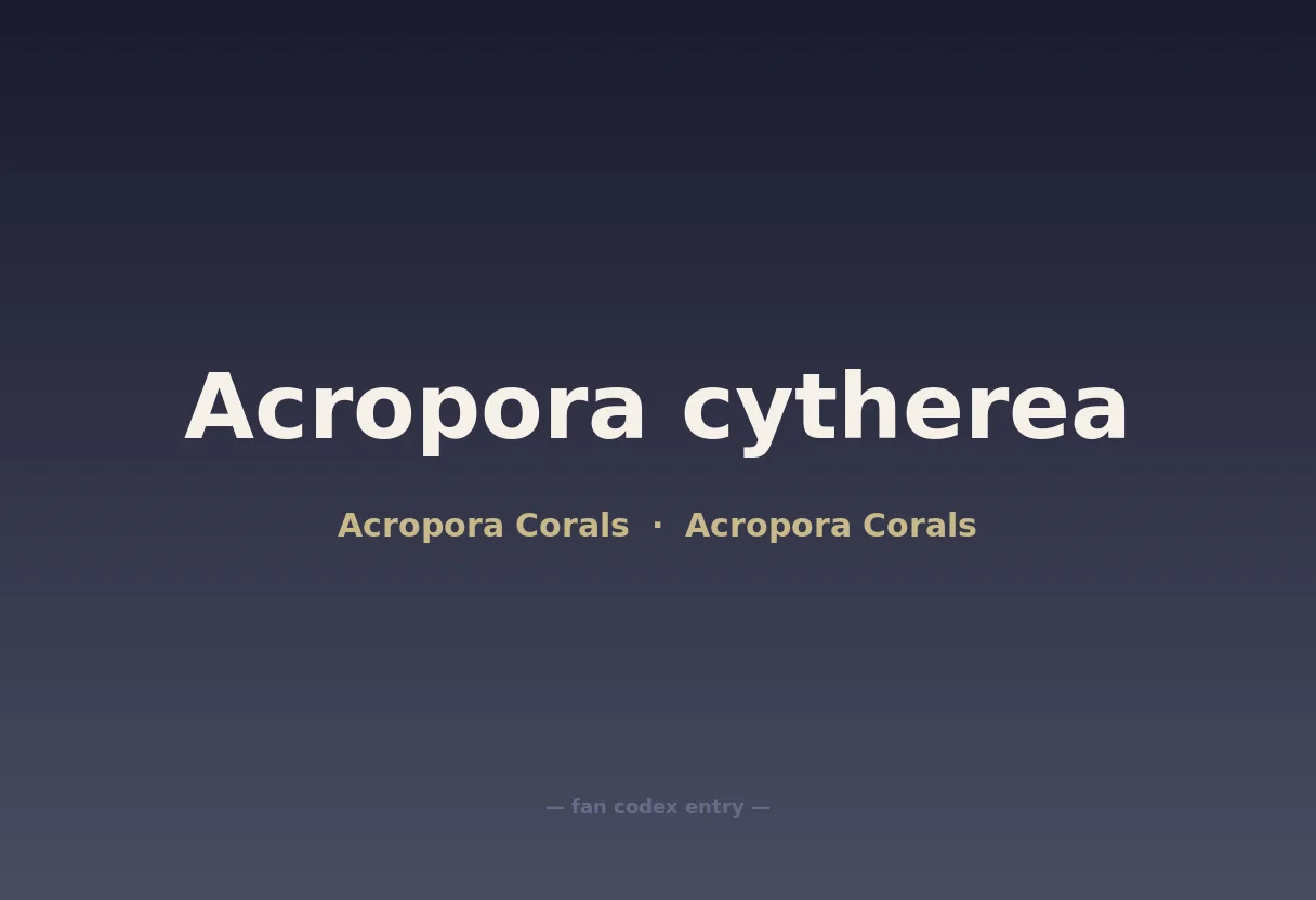 Acropora cytherea