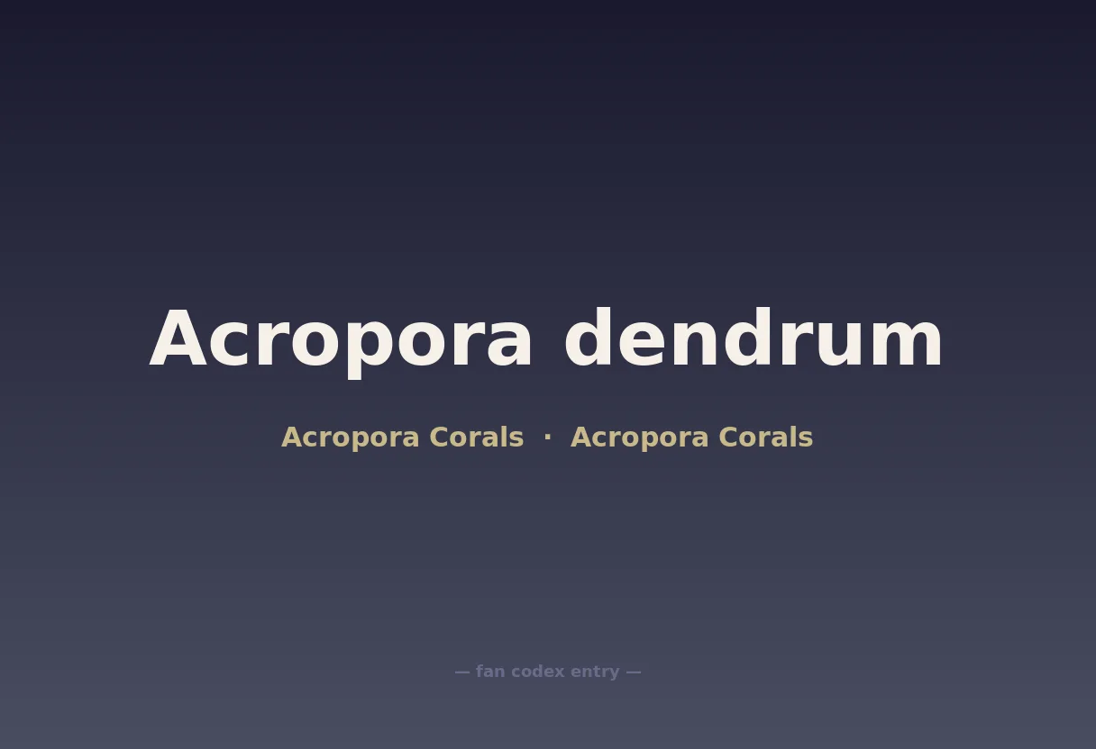 Acropora dendrum