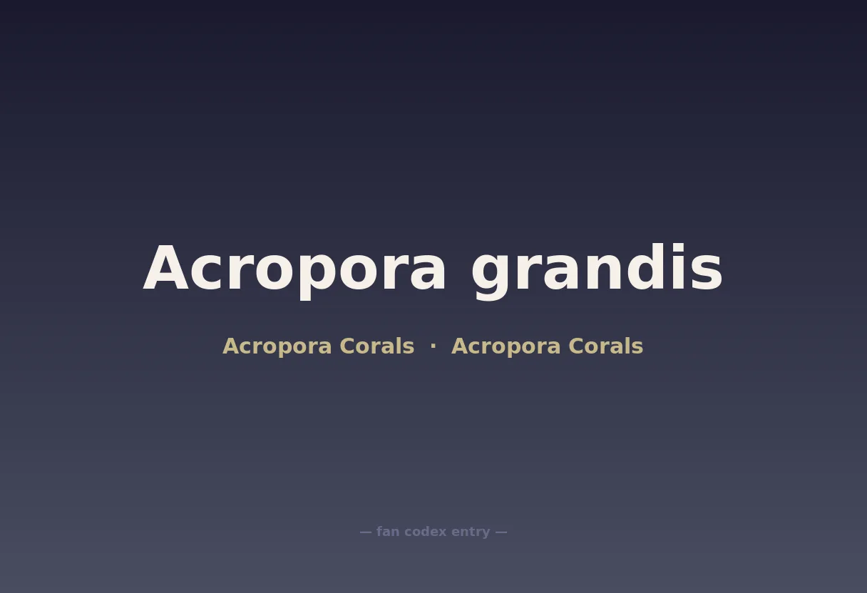 Acropora grandis