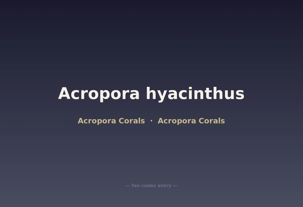Acropora hyacinthus