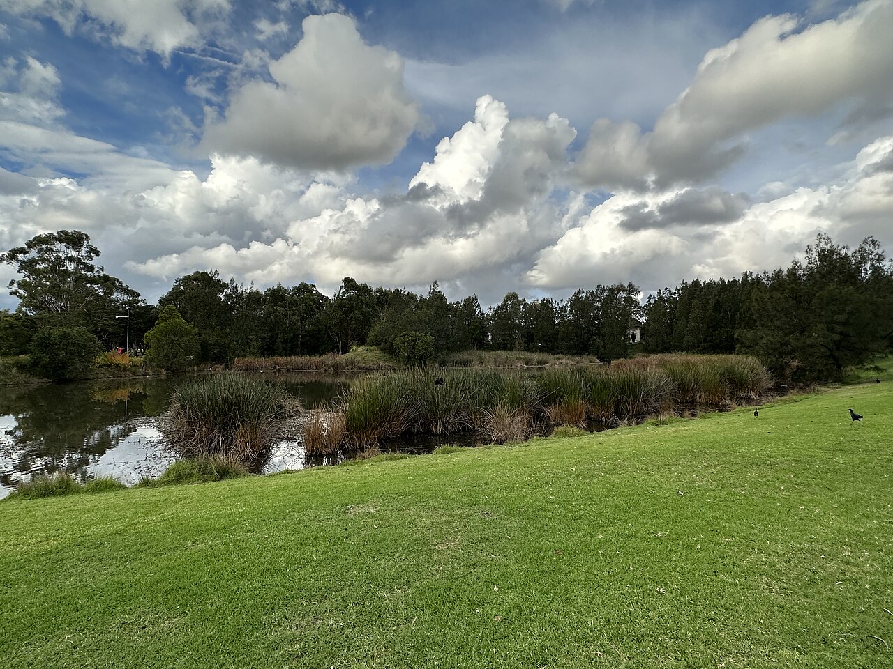 Driftway Reserve, Pemulwuy