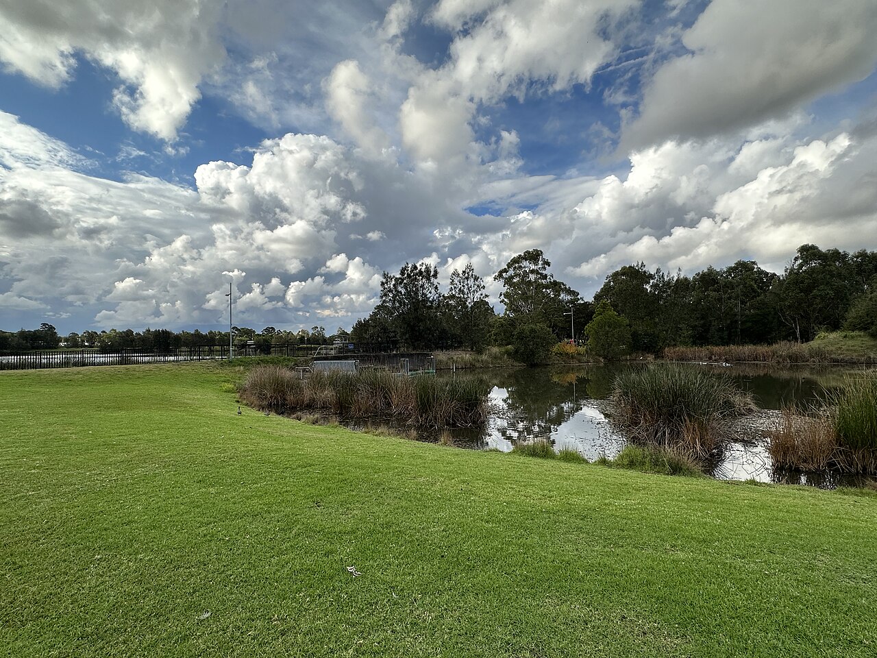 Driftway Reserve, Pemulwuy