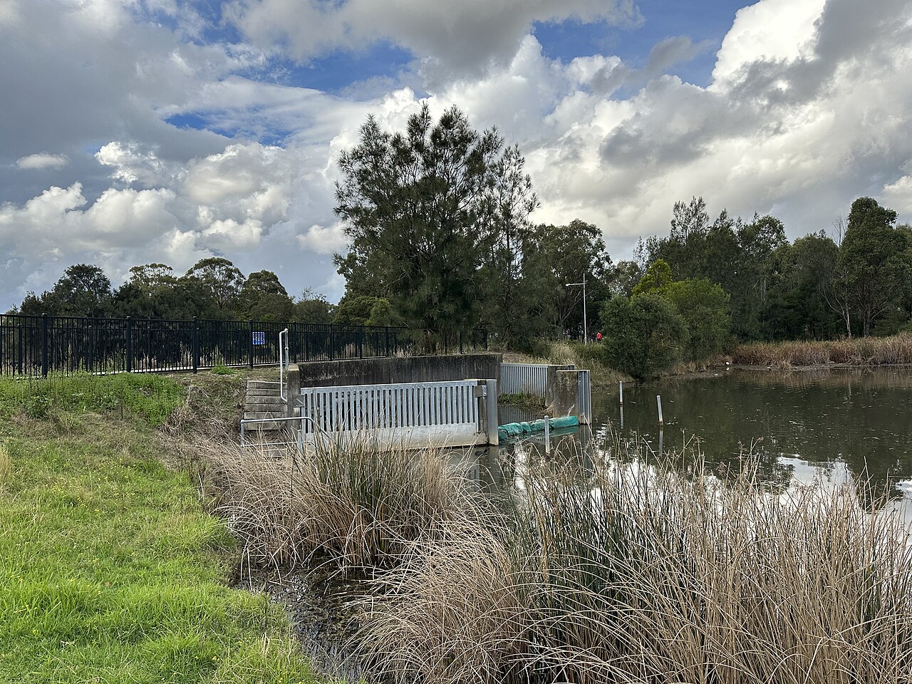 Driftway Reserve, Pemulwuy