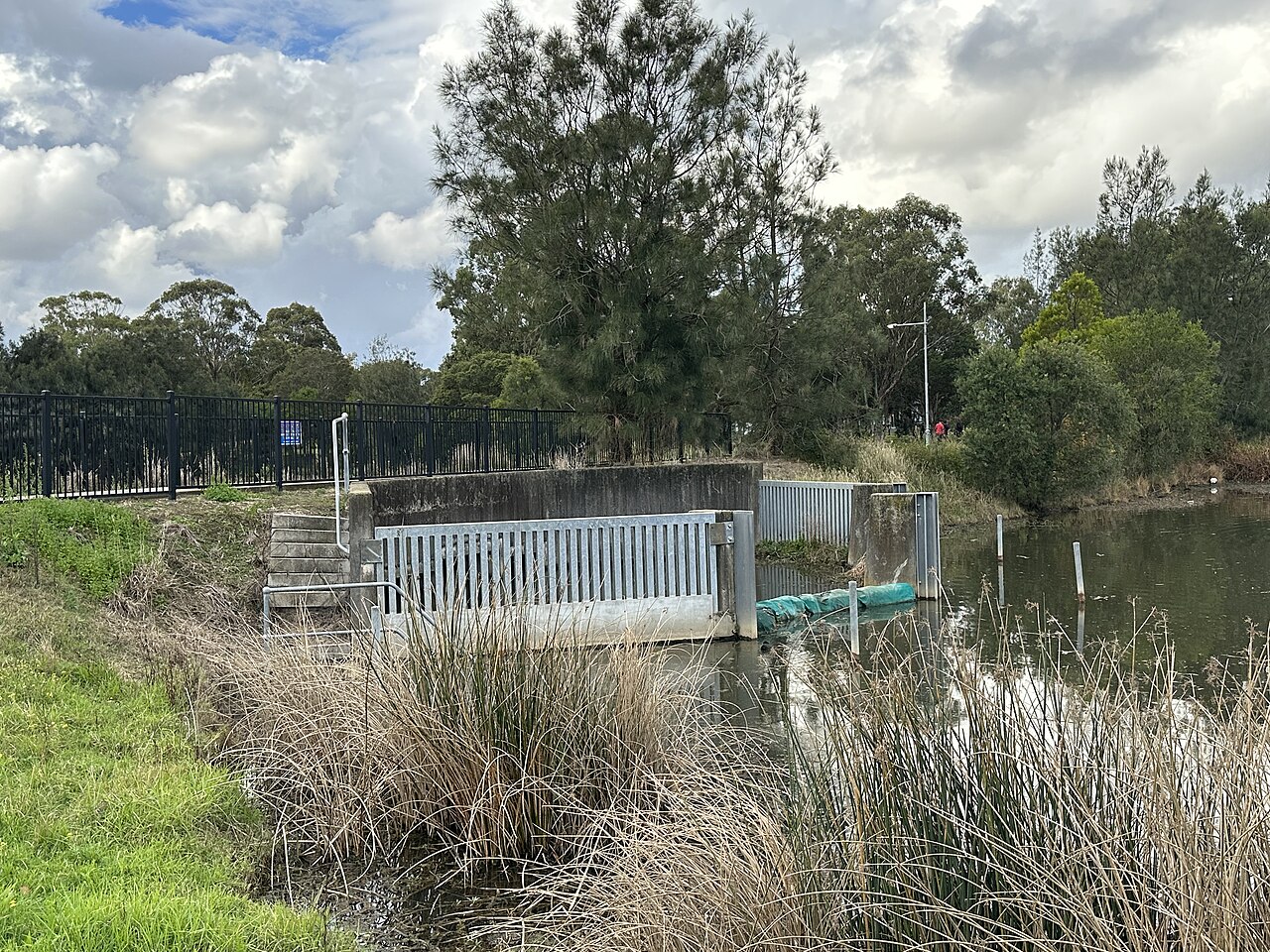 Driftway Reserve, Pemulwuy