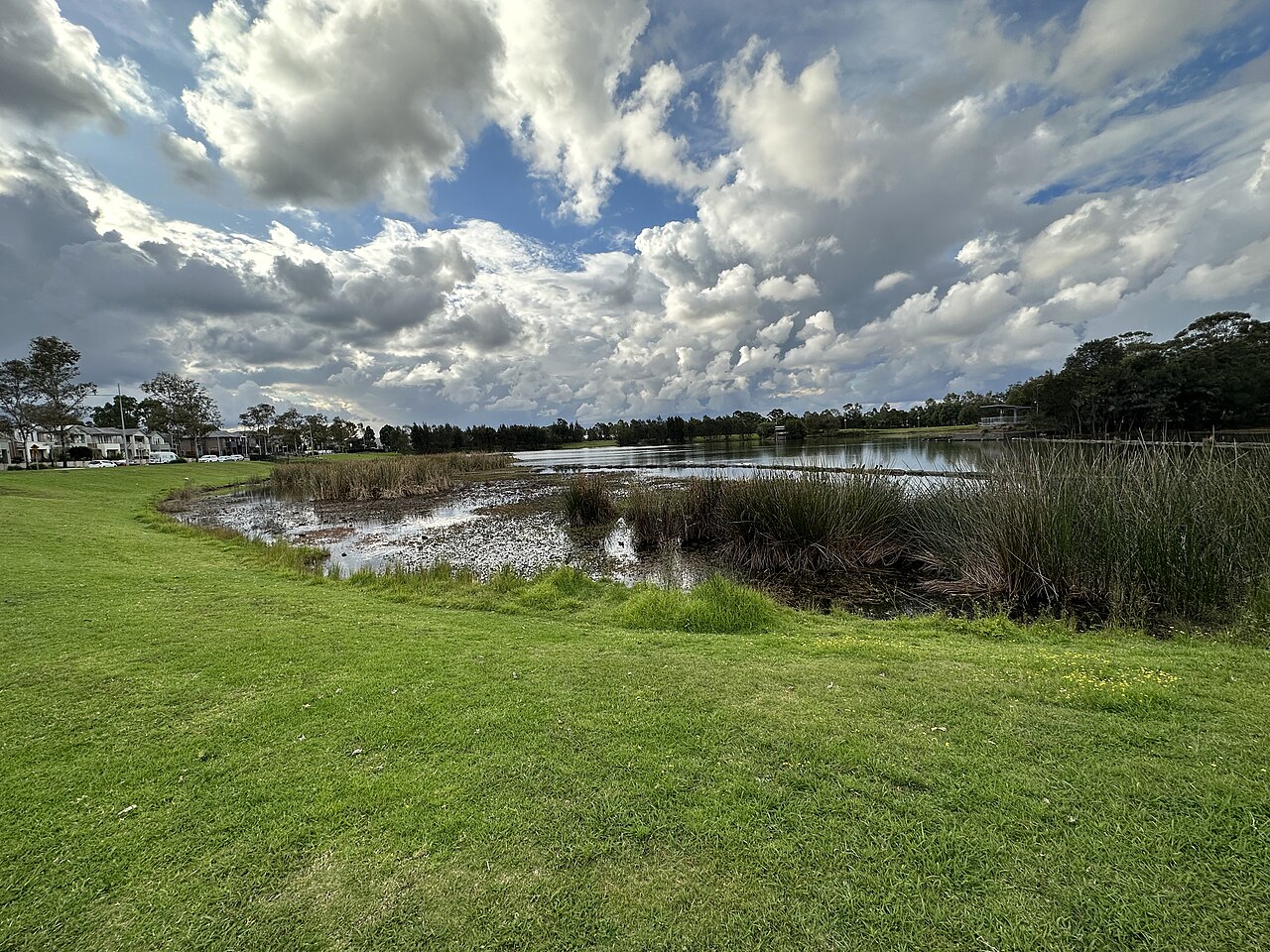 Driftway Reserve, Pemulwuy