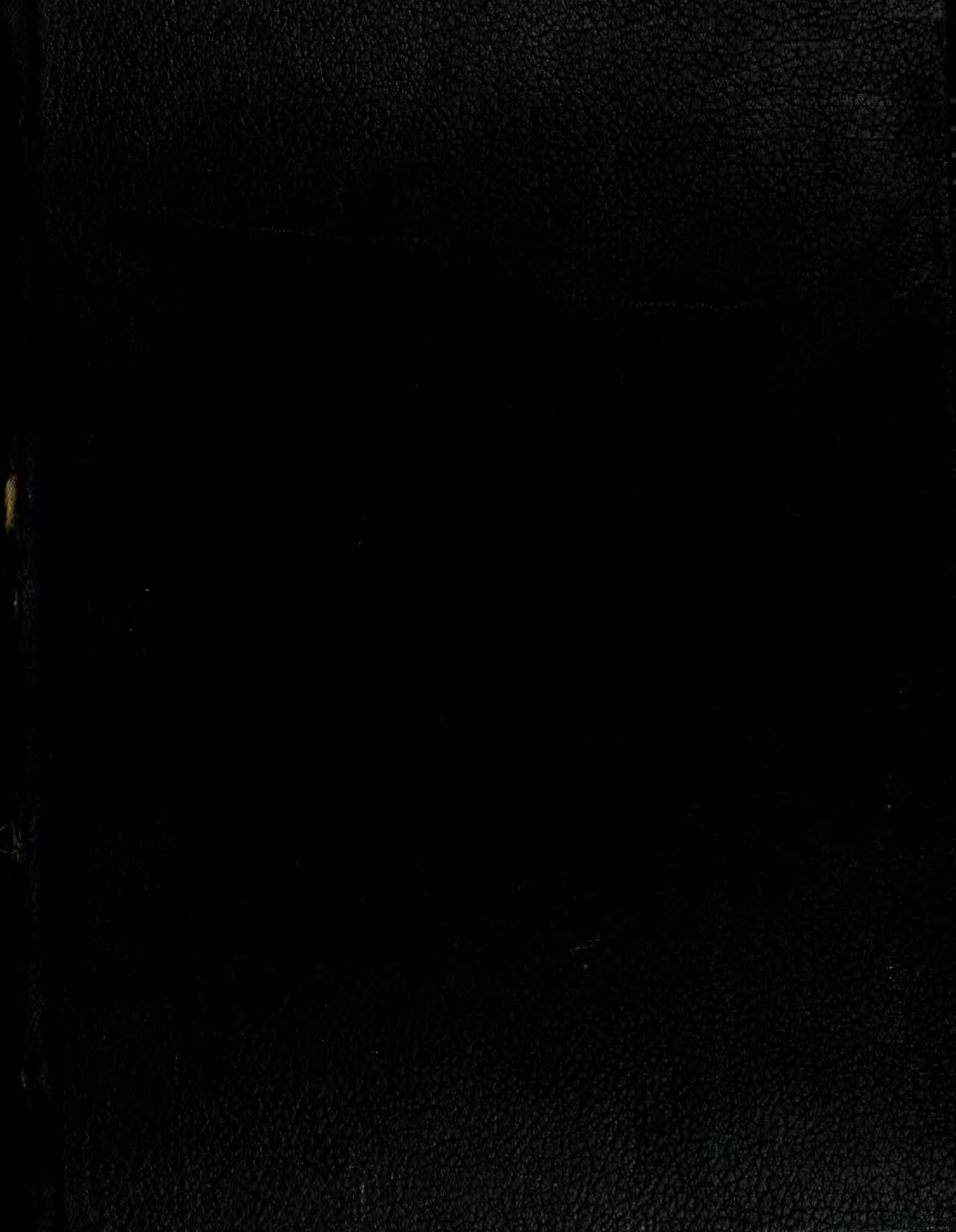 Dark Age (film)
