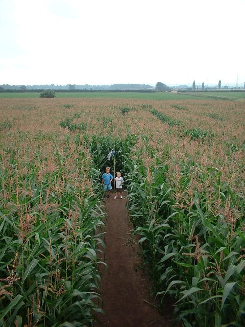 Dave Made a Maze