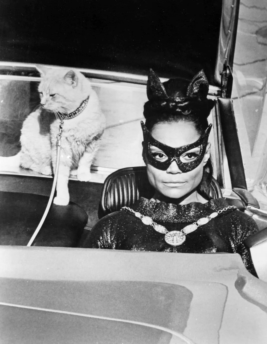 Catwoman (film)