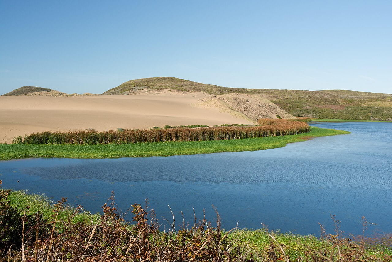 Lagoon (novel)