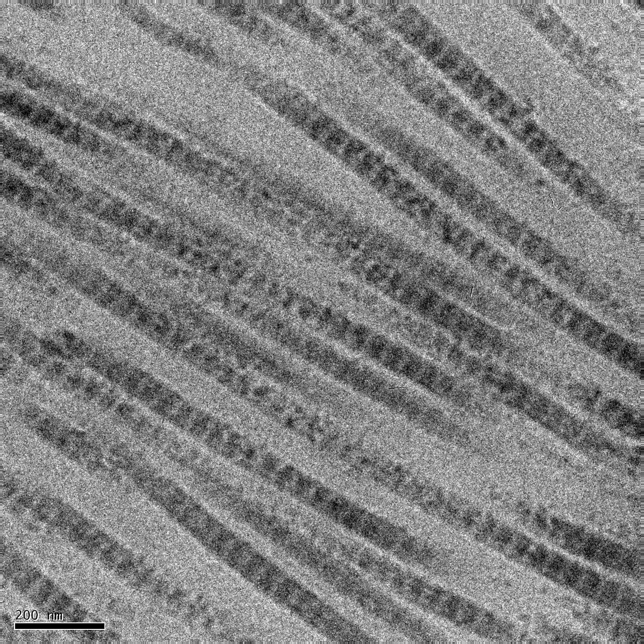 Collagen loss