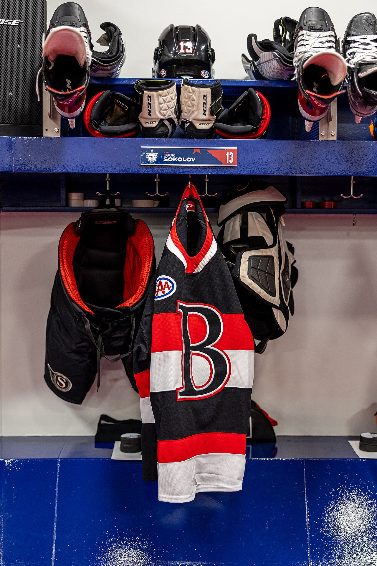Belleville Senators
