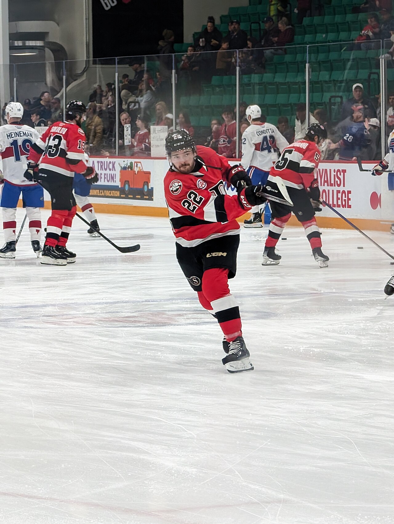 Belleville Senators