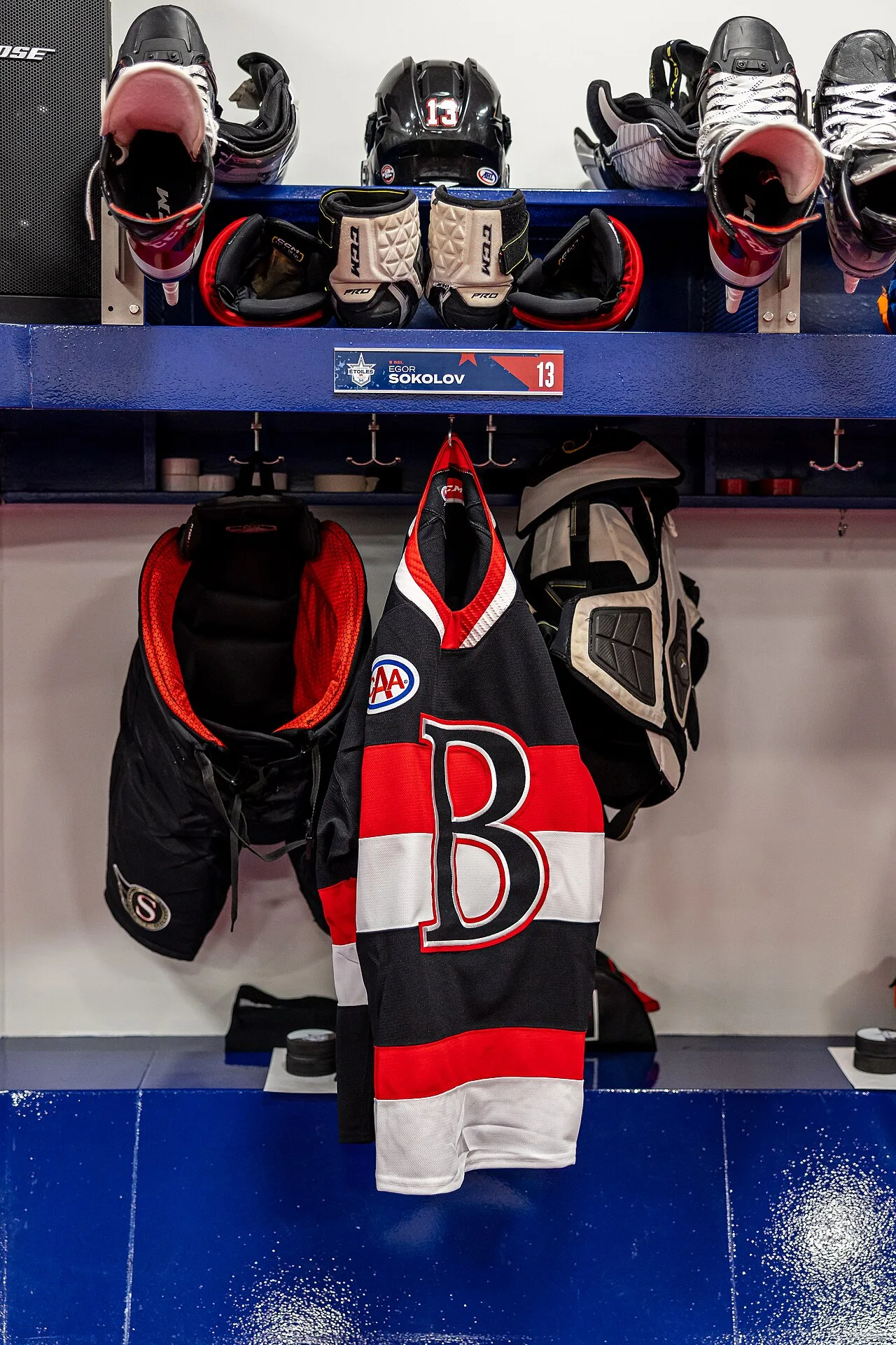 Belleville Senators