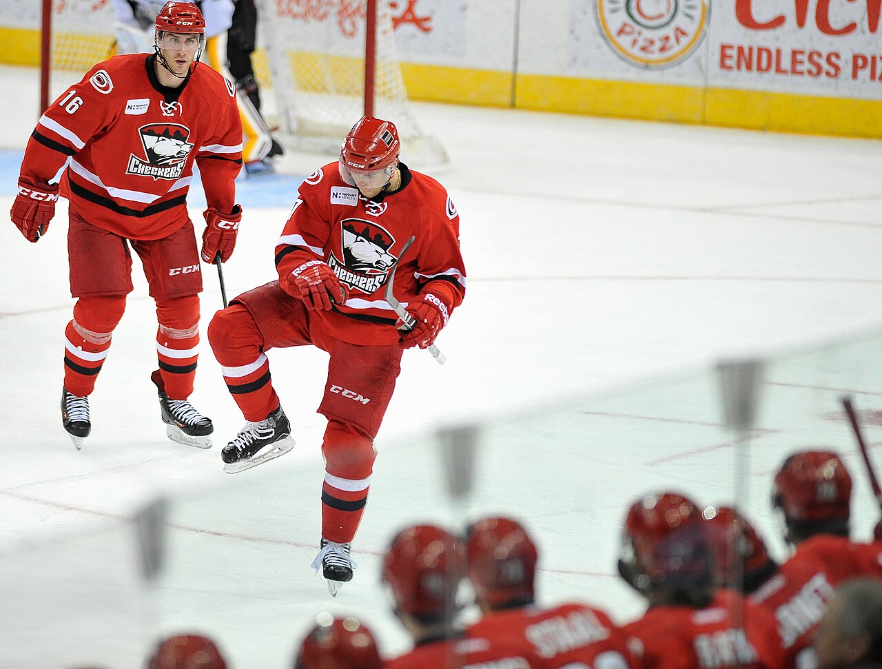 Charlotte Checkers