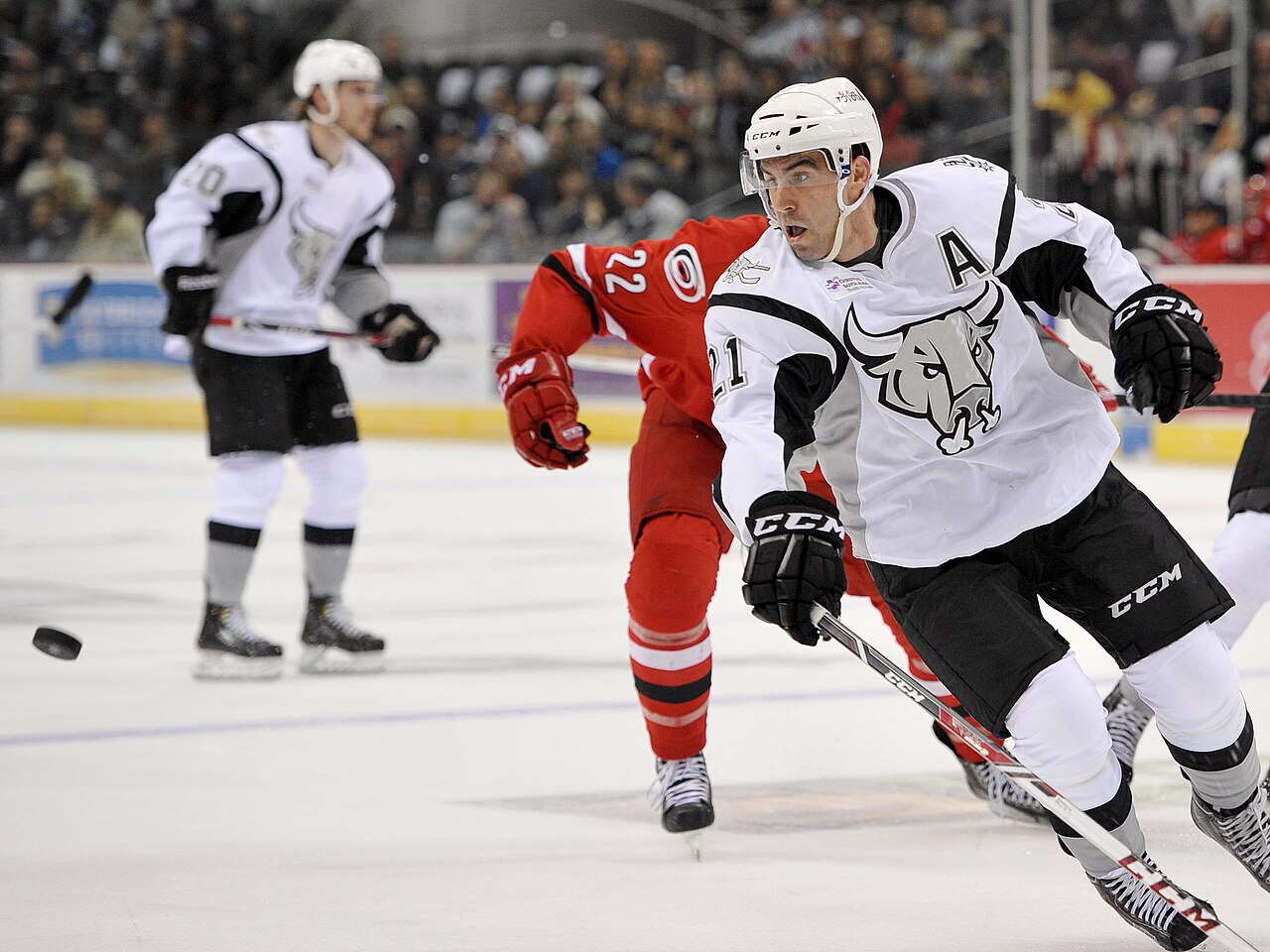 Charlotte Checkers