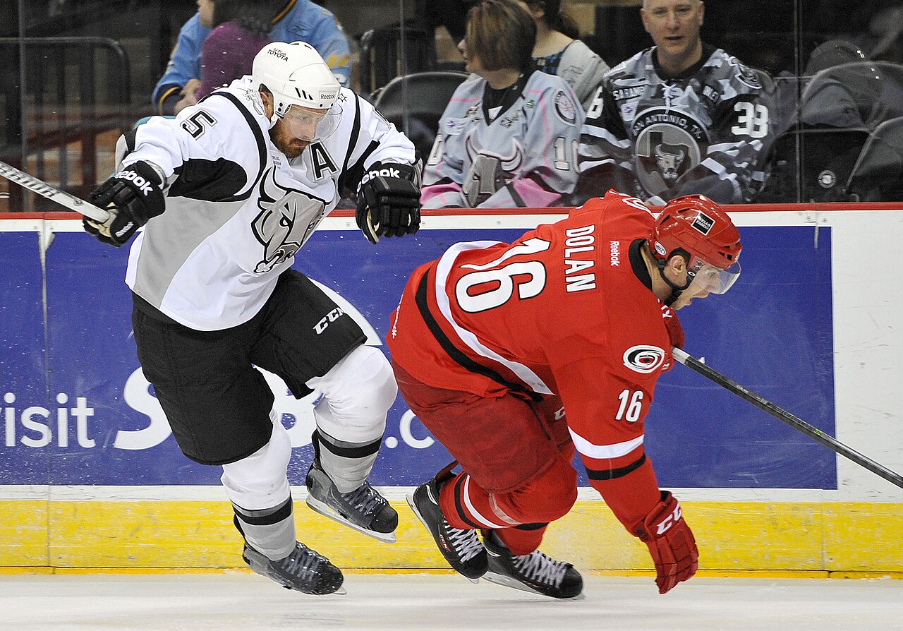 Charlotte Checkers