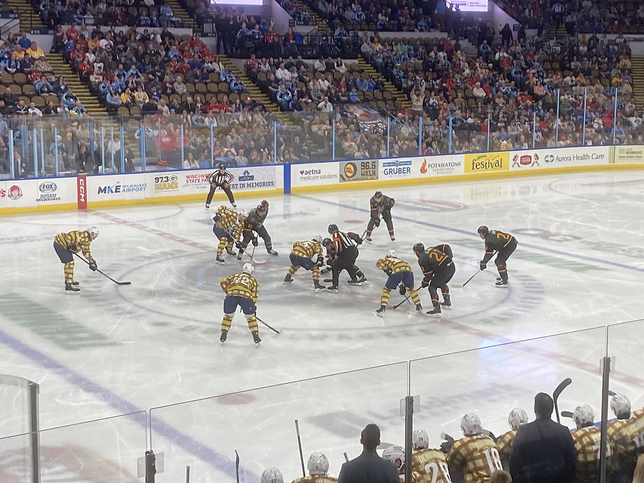 Chicago Wolves
