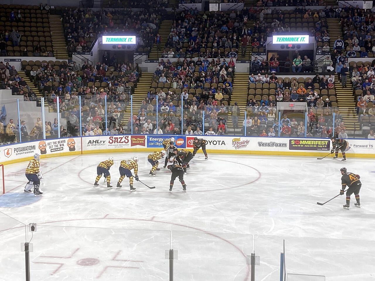 Chicago Wolves