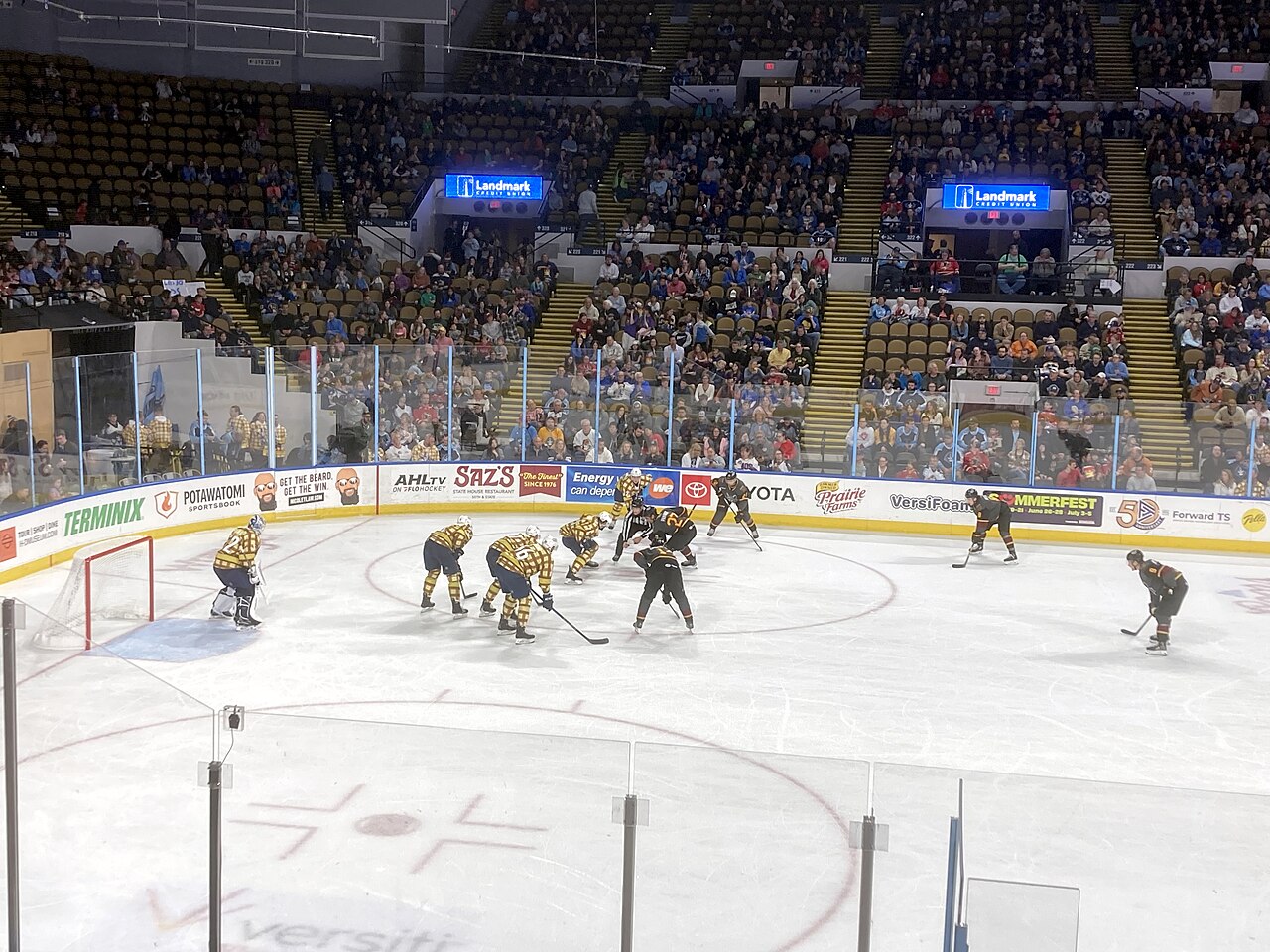 Chicago Wolves