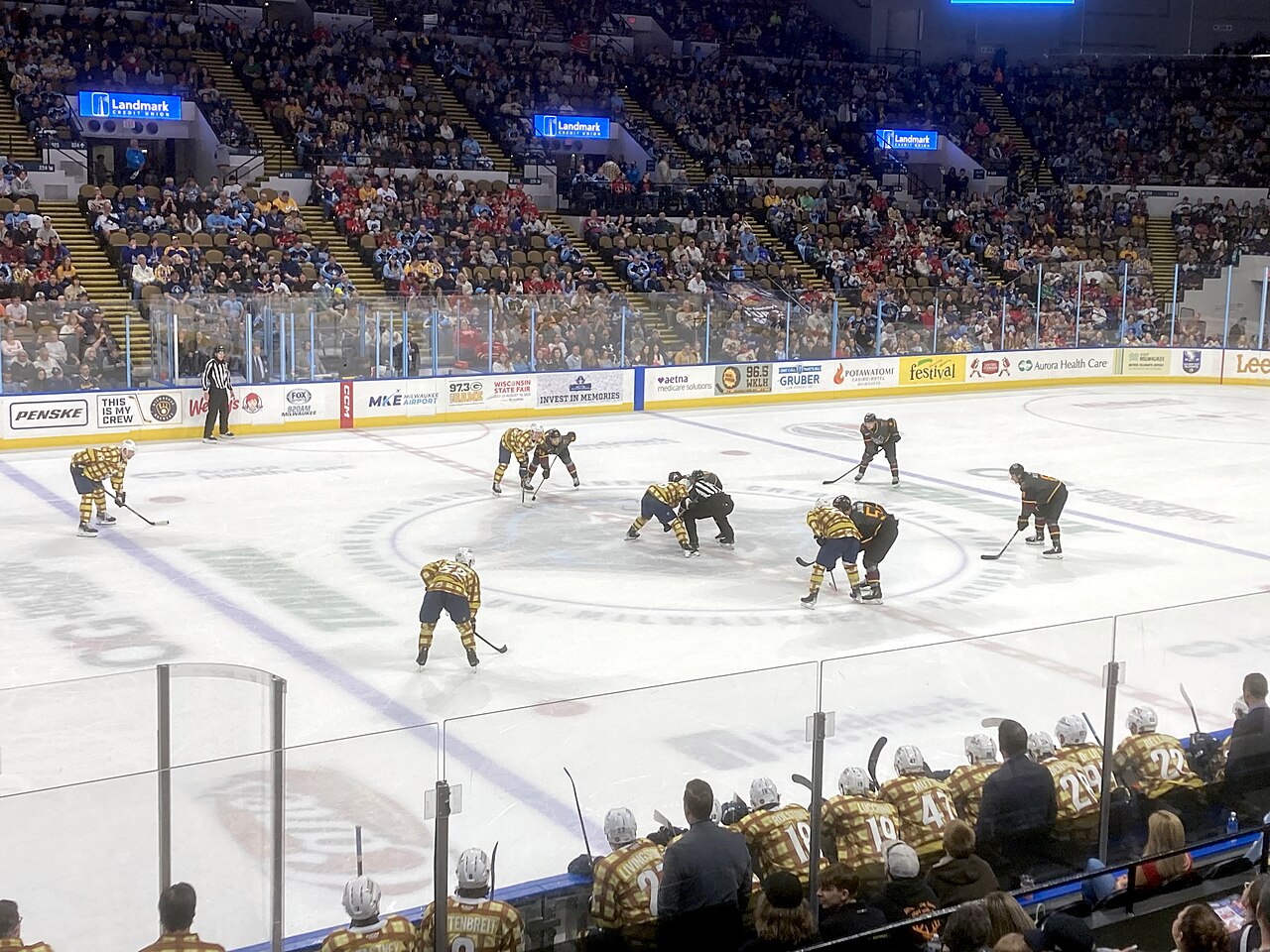 Chicago Wolves
