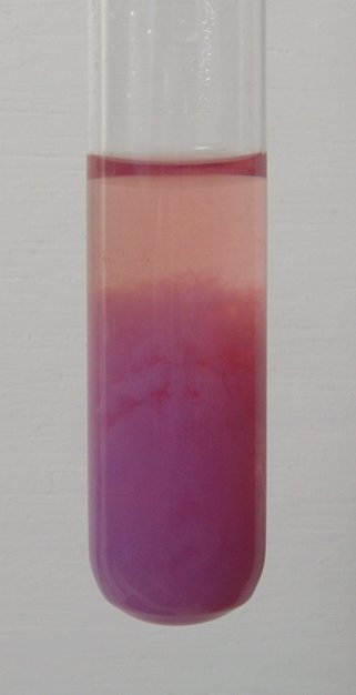Cobalt (band)