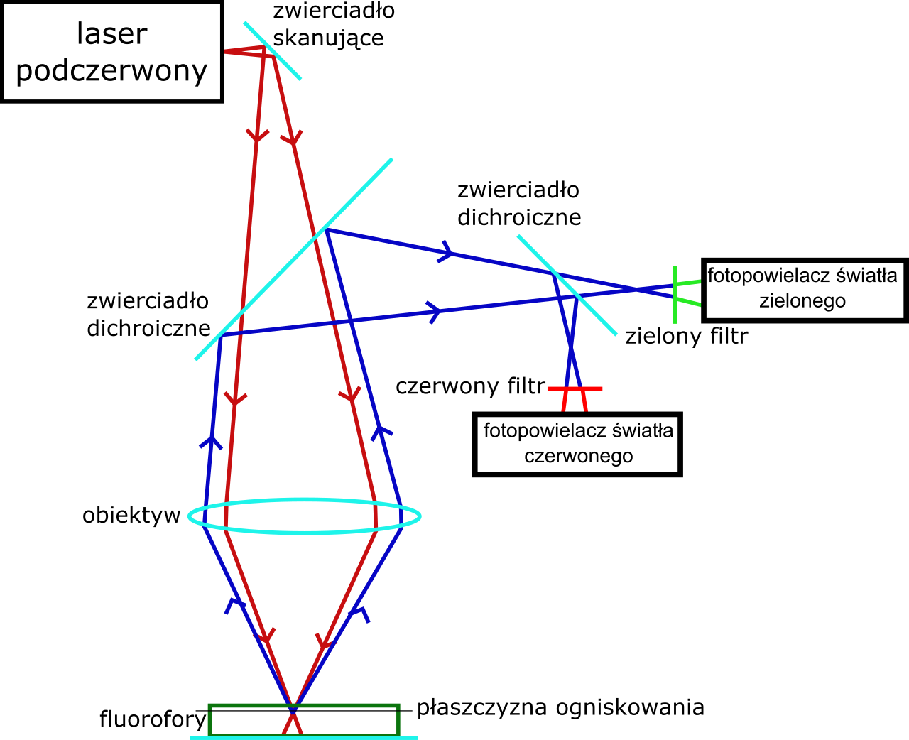 Photon (TV series)