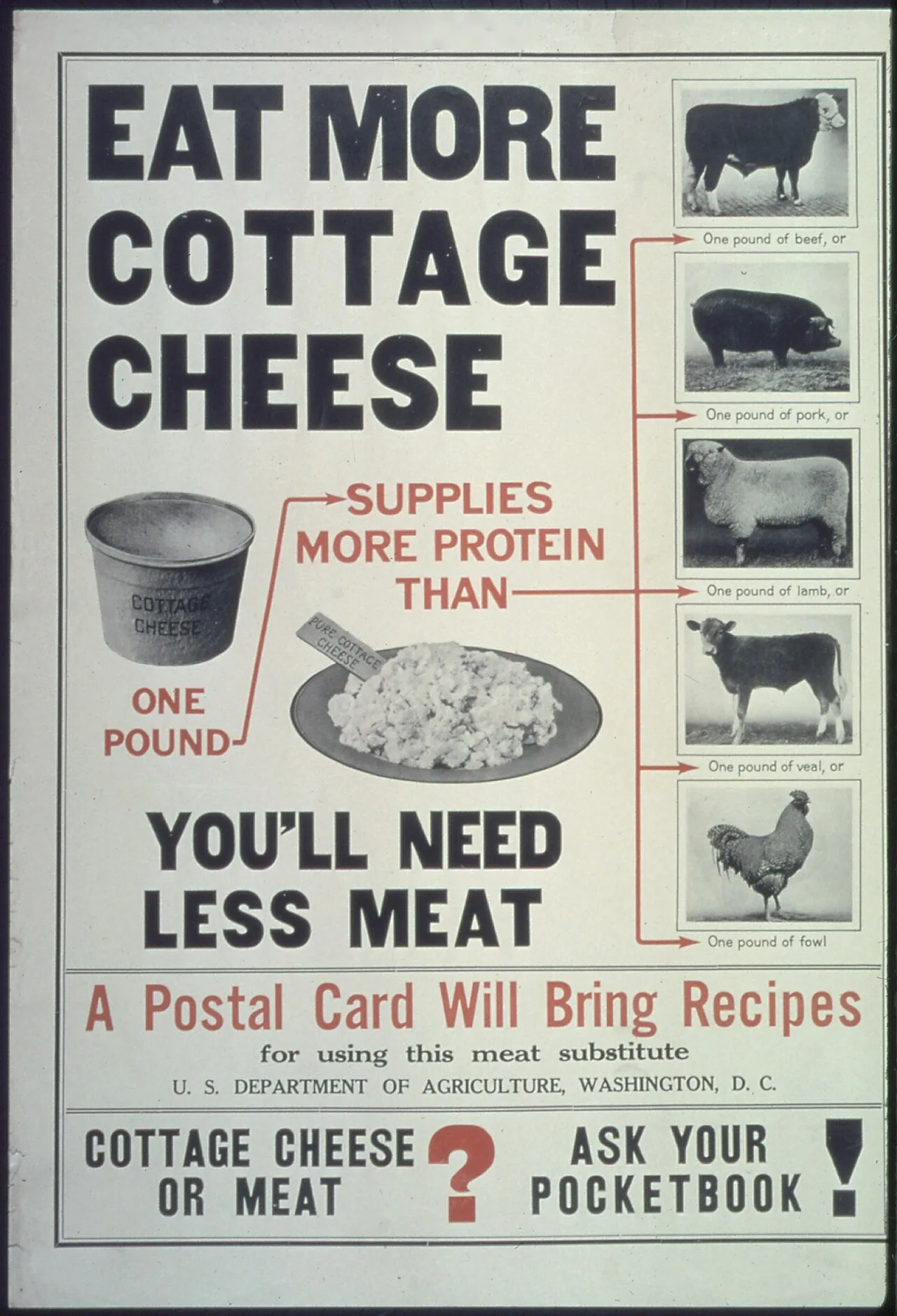 Cottage cheese