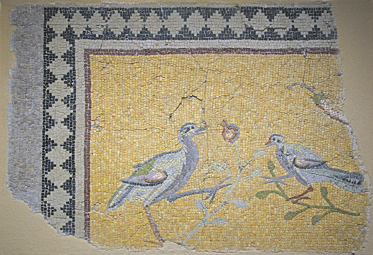Antakya Archaeology Museum Birds mosaic fragment 3rd-4th century in 2019