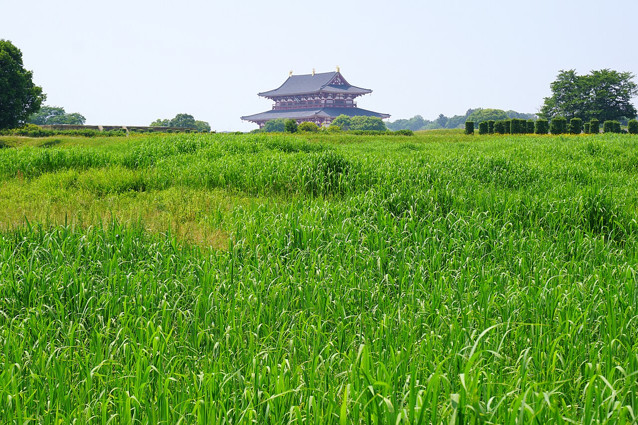 Heijo-kyo Nara Japan01bs