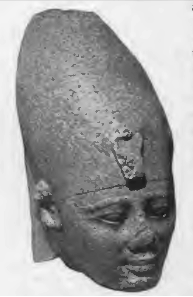Amenemhat I head Petrie
