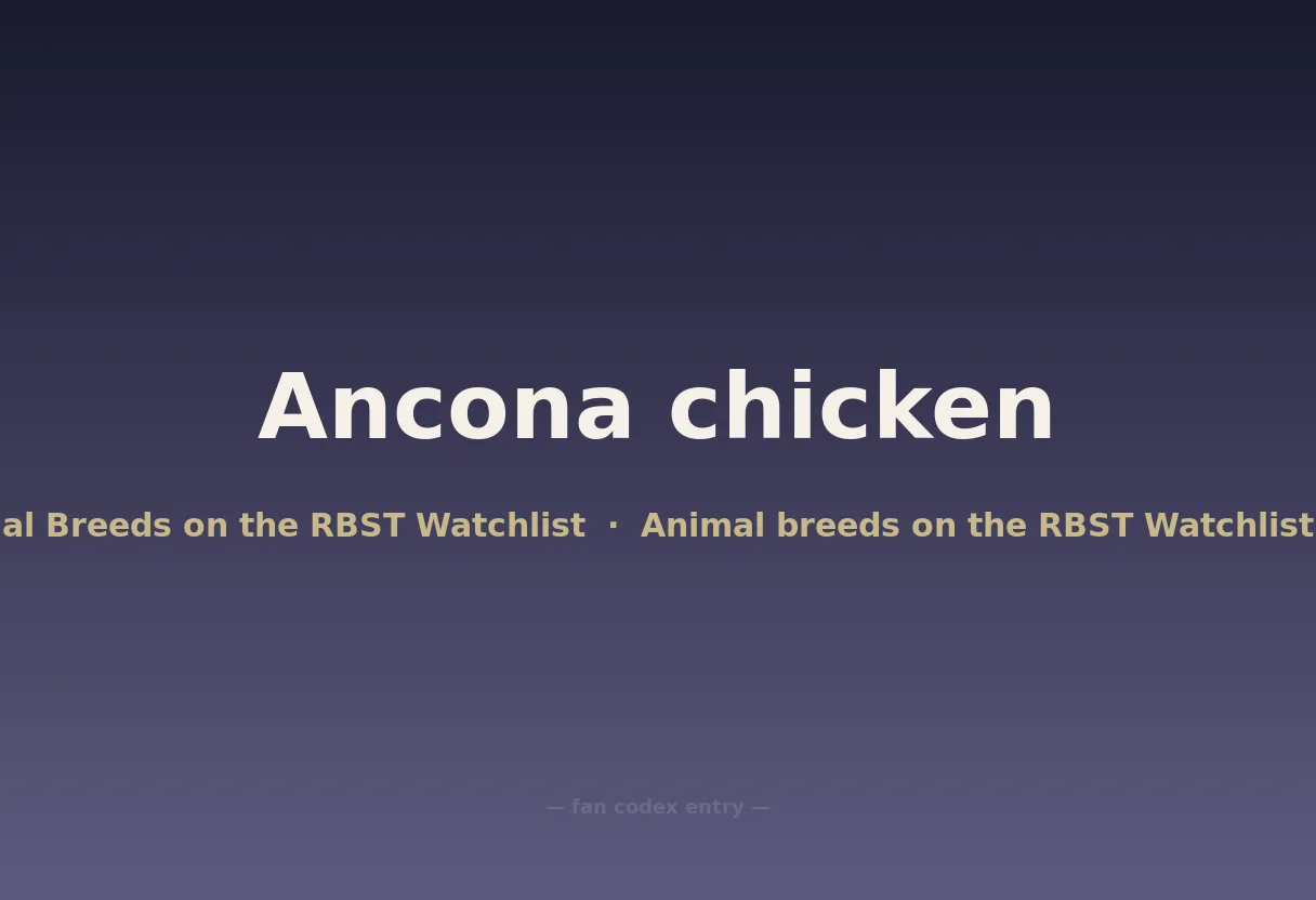 Ancona chicken