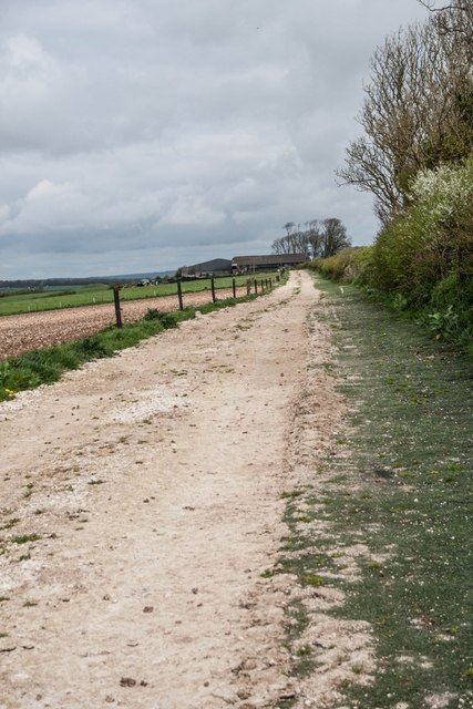 Strange astro-turfed bridleway near Eweleaze Barn - geograph.org.uk