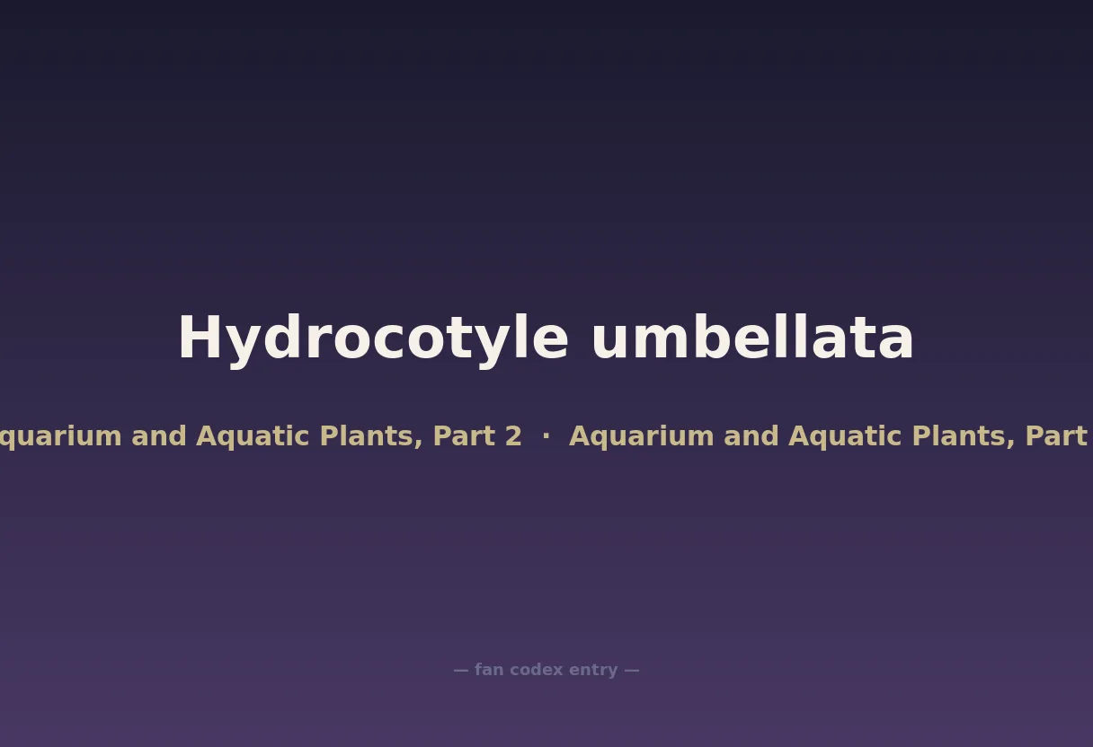Hydrocotyle umbellata