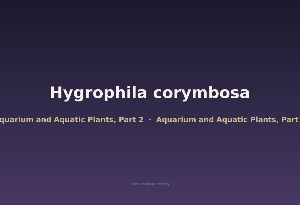 Hygrophila corymbosa
