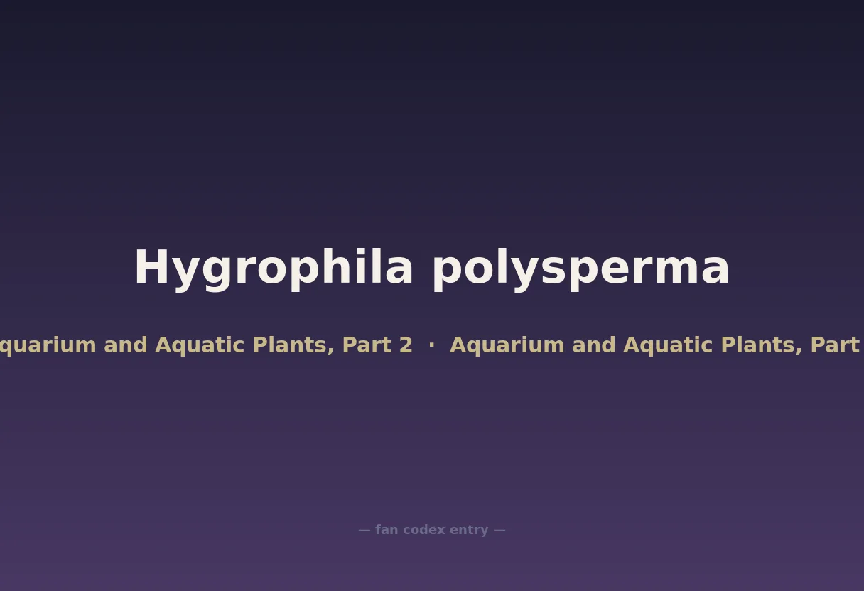 Hygrophila polysperma