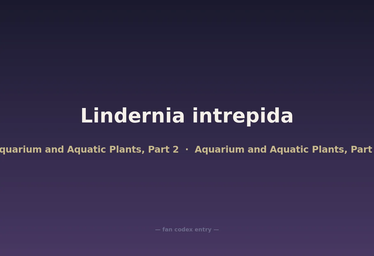 Lindernia intrepida