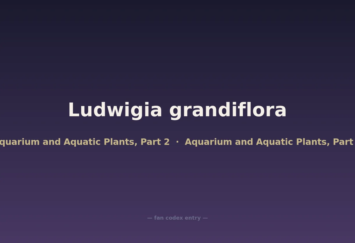 Ludwigia grandiflora