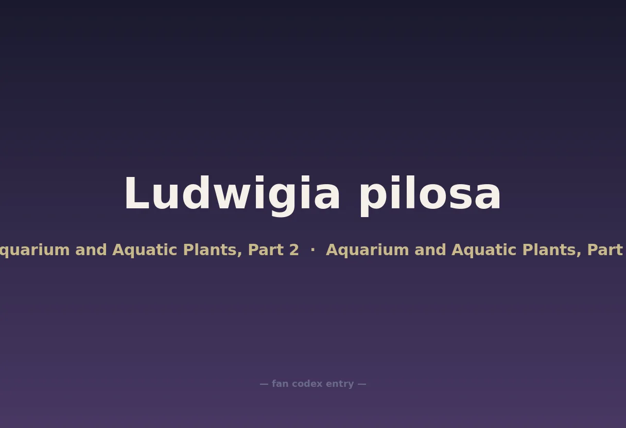 Ludwigia pilosa