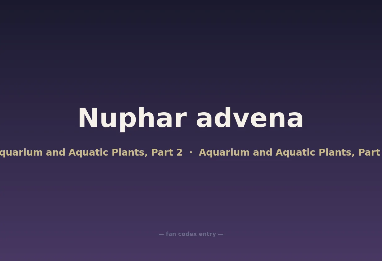 Nuphar advena
