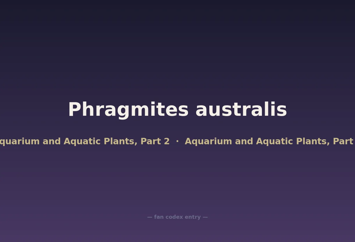 Phragmites australis